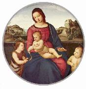 Madonna Terranuova, Szene: Maria mit Christuskind und zwei Heiligen, Tondo
